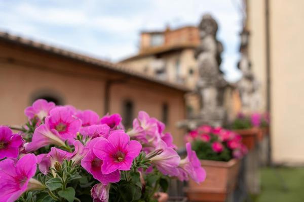 La Finestra Sul Borgo Dimora Storica Apartment Laterina Bagian luar foto